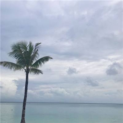 新澳门游戏网站入口app下载截图