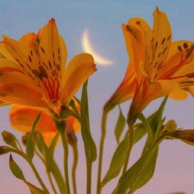 新澳门游戏网站入口app下载